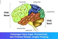 Hubungan Daya Ingat, Konsentrasi, dan Prestasi Belajar Jangka Panjang