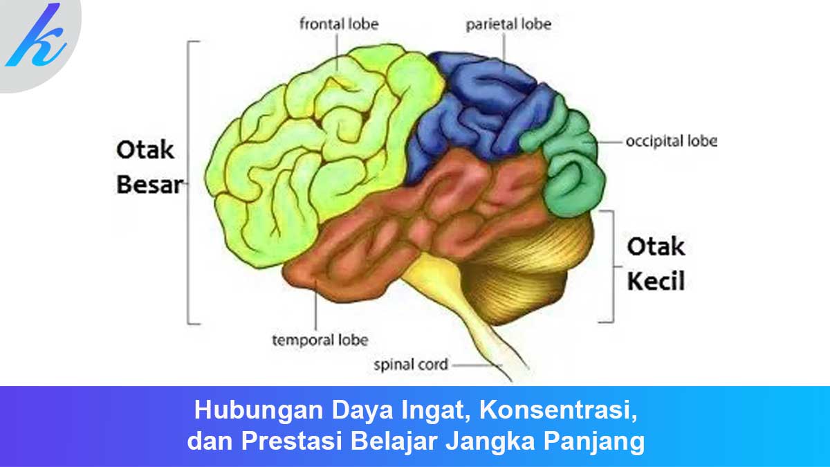 Hubungan Daya Ingat, Konsentrasi, dan Prestasi Belajar Jangka Panjang
