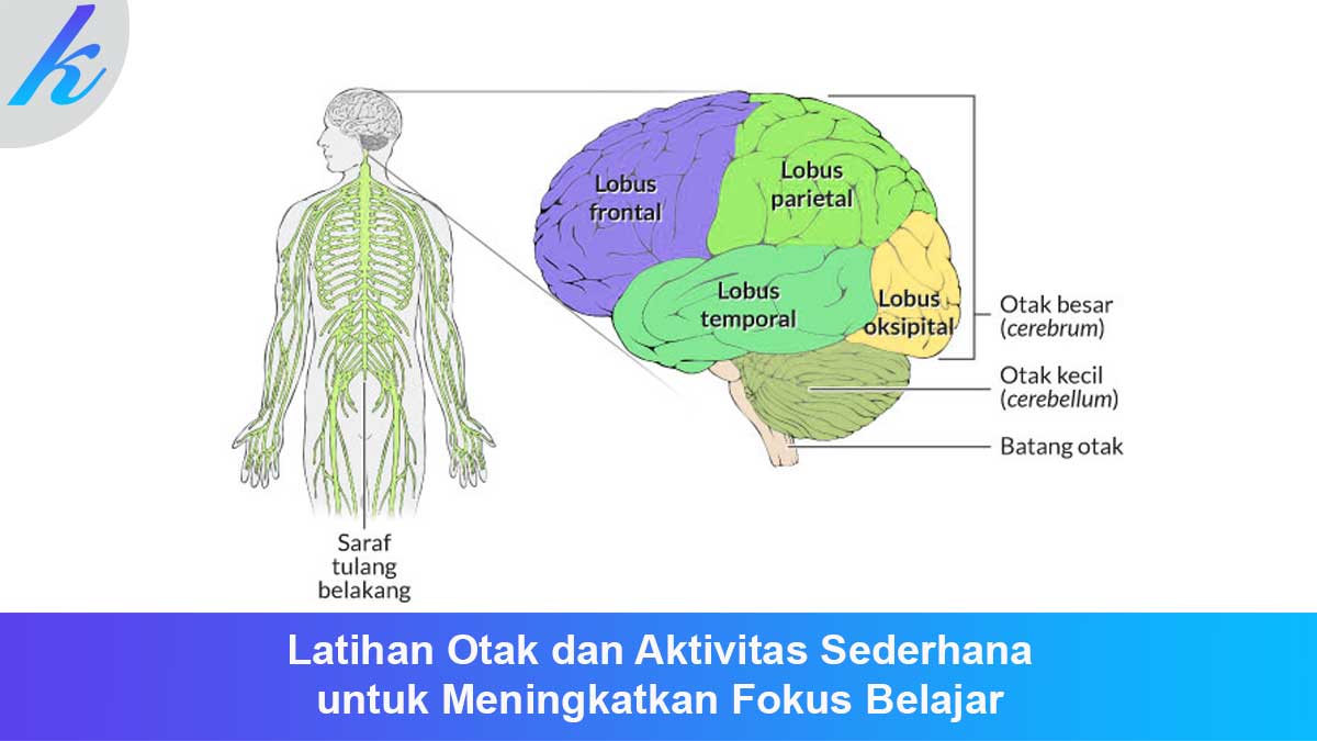 Latihan-Otak-dan-Aktivitas-Sederhana Latihan Otak dan Aktivitas Sederhana