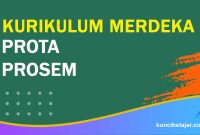 Contoh Lengkap PROSEM dan PROTA