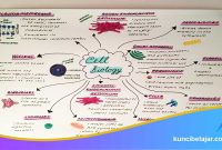 Cara-Membuat-Catatan-Belajar-yang-Rapi Cara Membuat Catatan Belajar yang Rapi