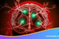 Mental-Model-Belajar-Super-Cepat Mental Model Belajar Super Cepat
