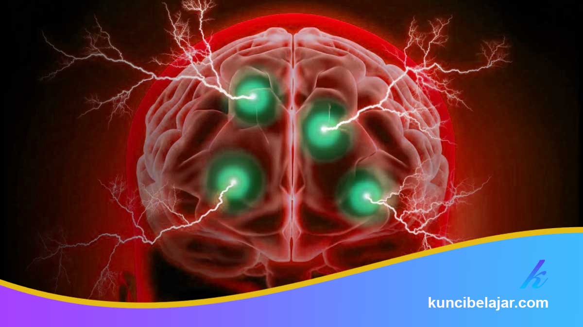 Mental-Model-Belajar-Super-Cepat Mental Model Belajar Super Cepat