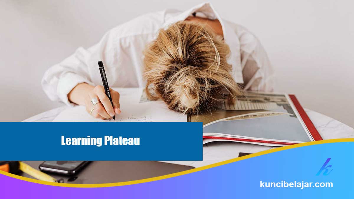 Learning Plateau