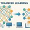 gambar ilustrasi Transfer Learning